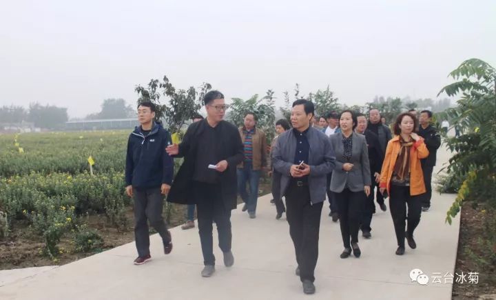 云臺冰菊基地發(fā)生了什么？一批批領(lǐng)導(dǎo)專家團(tuán)隊(duì)前來！