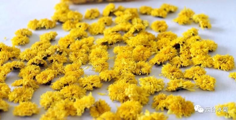 2018，種下希望，靜待花開！